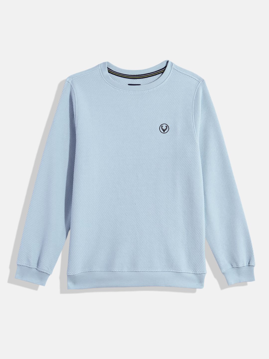 Allen Solly Junior Boys Textured Pullover Sweatshirt