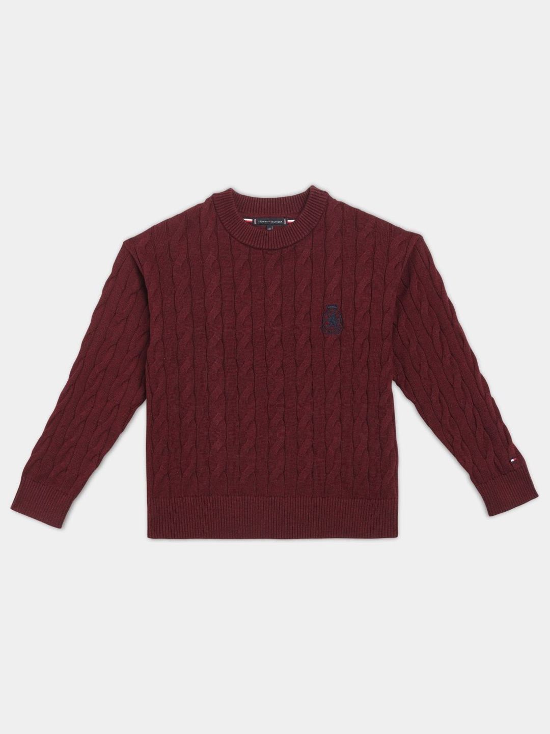 Tommy Hilfiger Boys Round Neck Self Design Long Sleeves Cable Knit Pullover