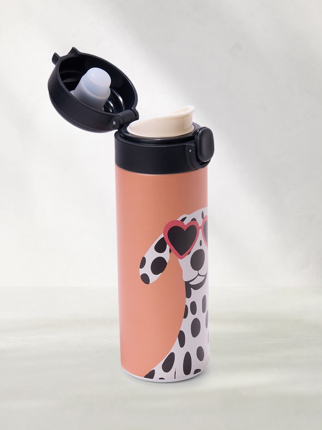 Pantaloons Junior Multicoloured Single Metal Water Bottle