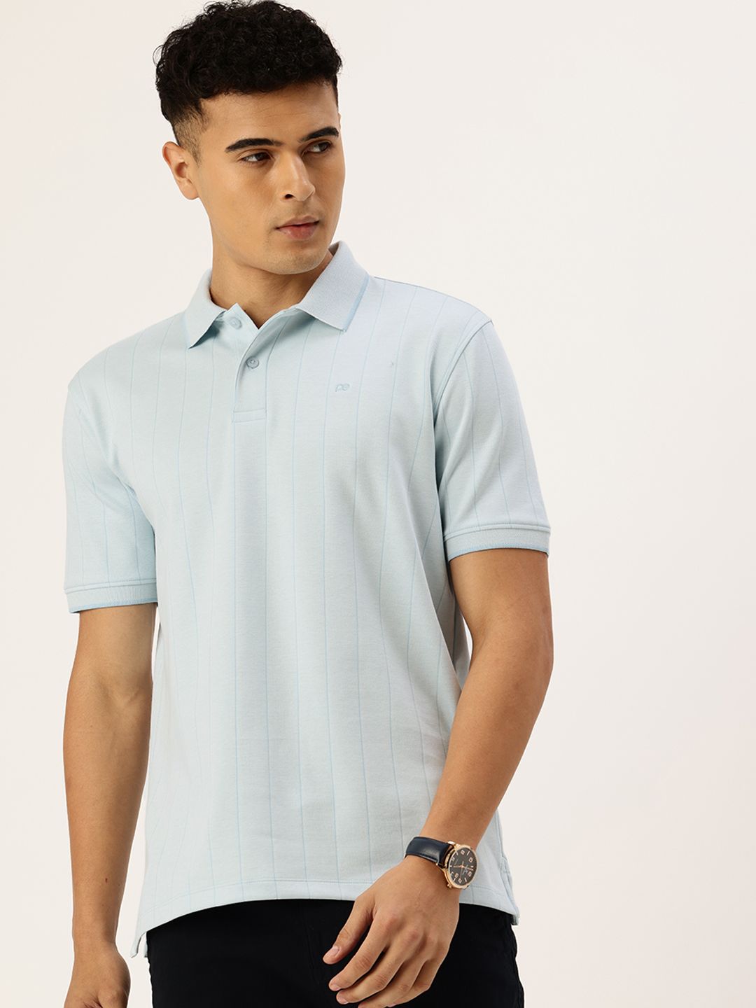 Peter England Striped Polo Collar T-shirt