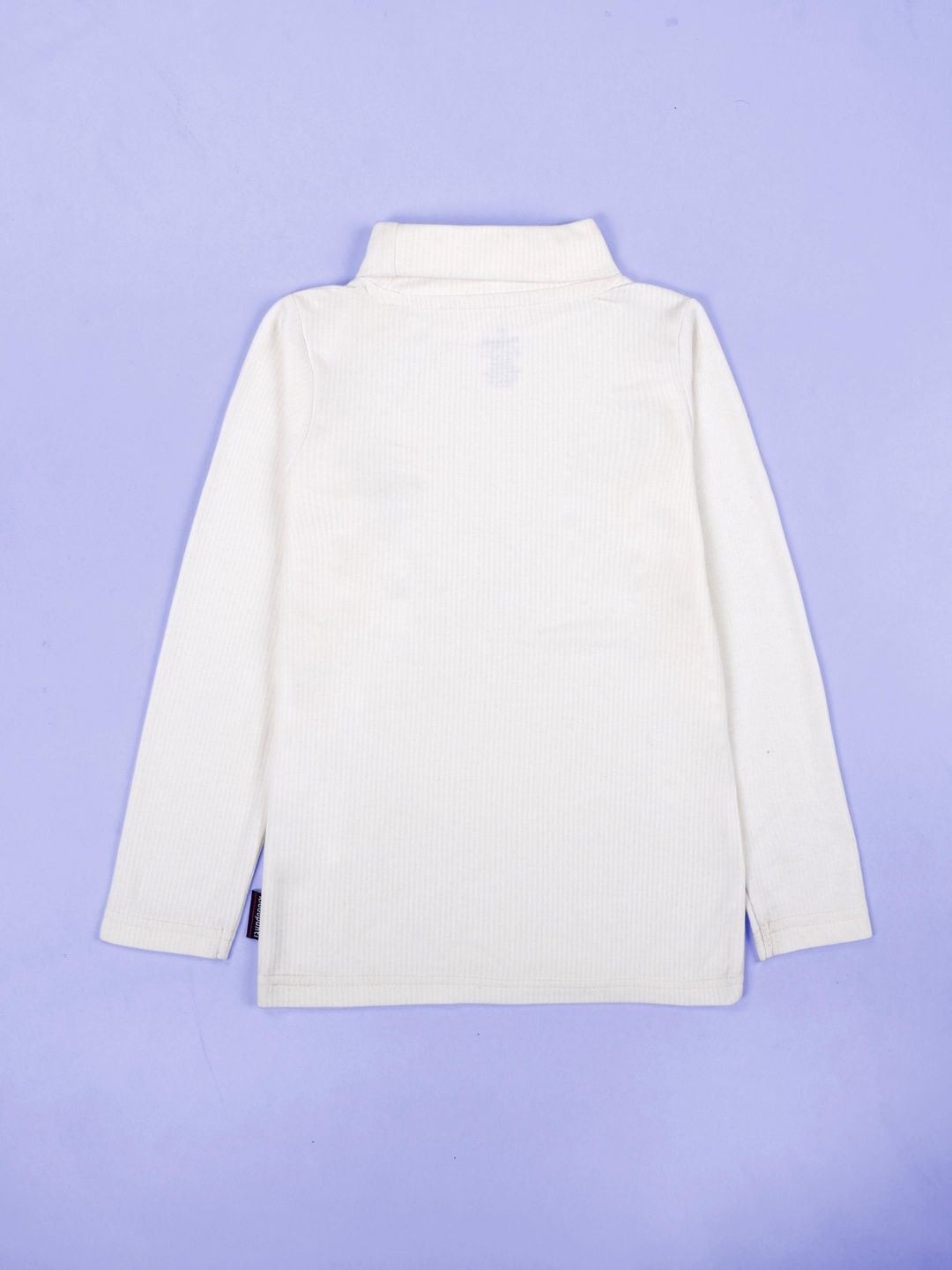 Unisex Cotton Tshirts 2
