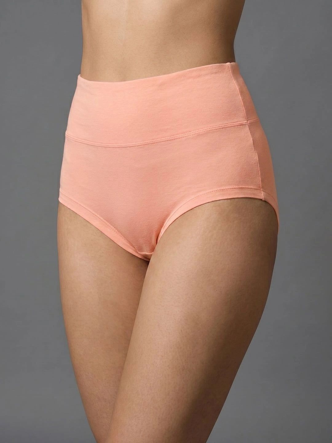 Luella High Waist Seamless Full Coverage Stretchable Briefs