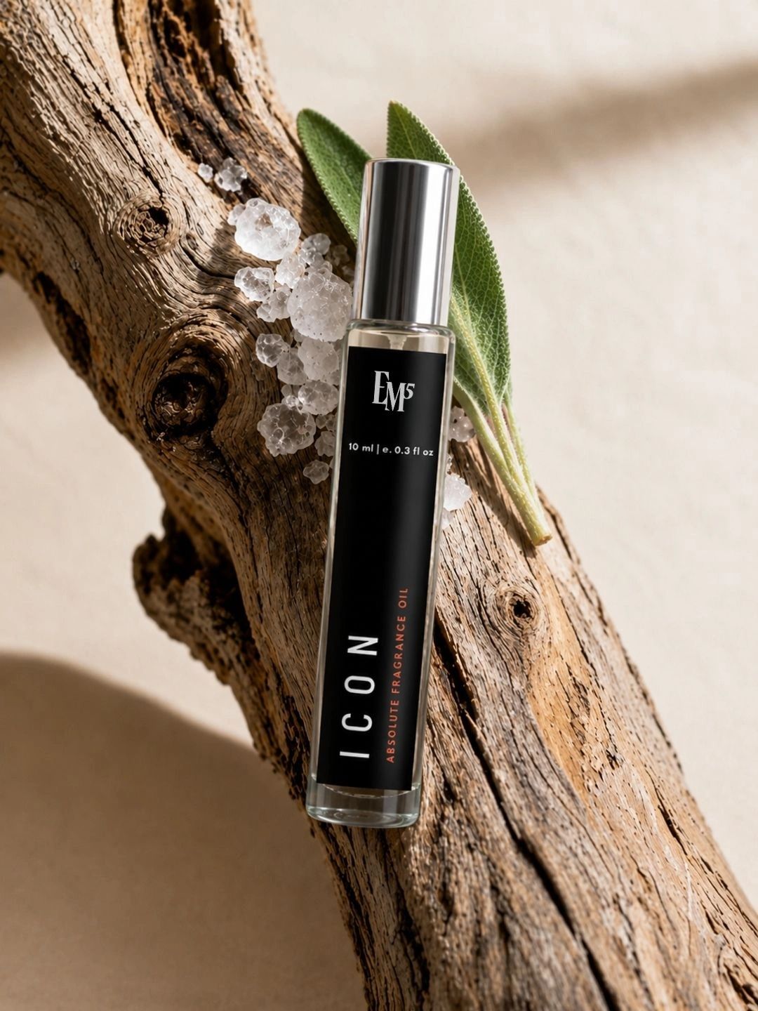 EM5 Men Icon Perfume Roll-On- 10 ml
