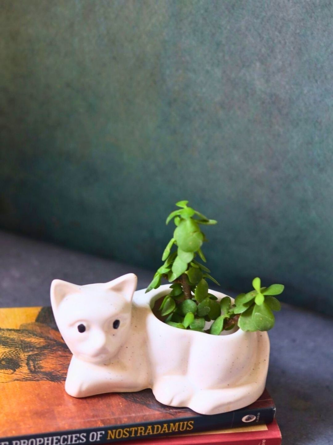 WEAVING HOMES White Textured Ceramic Cat Shaped Planters