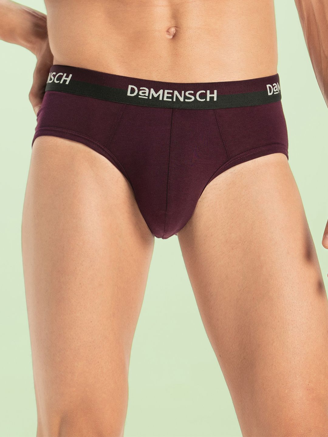 DAMENSCH Men Mid-Rise Cotton Briefs BR1048-LYLMRN