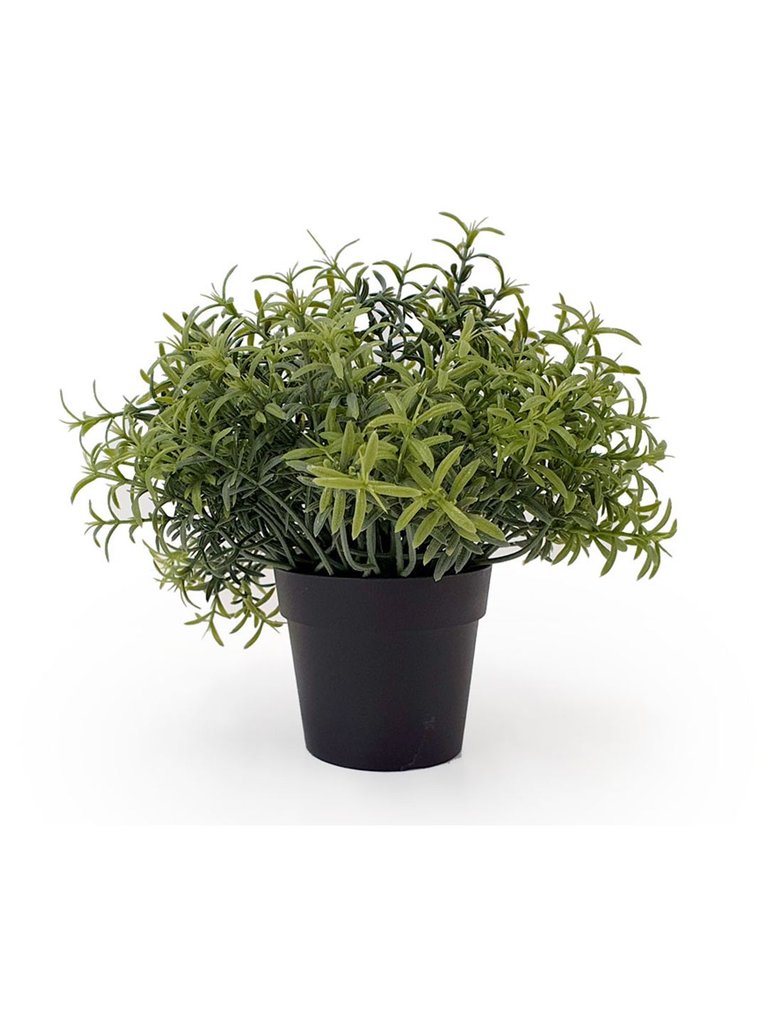 paperi Green Rosmarinus Artificial Plant With Pot