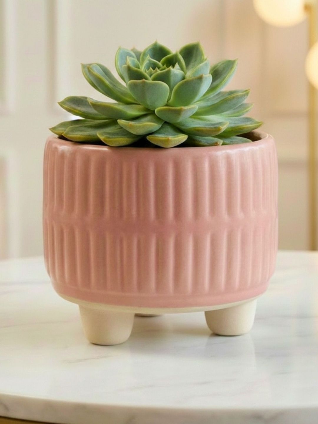 ecofynd Pink Textured Ceramic Planter Pot