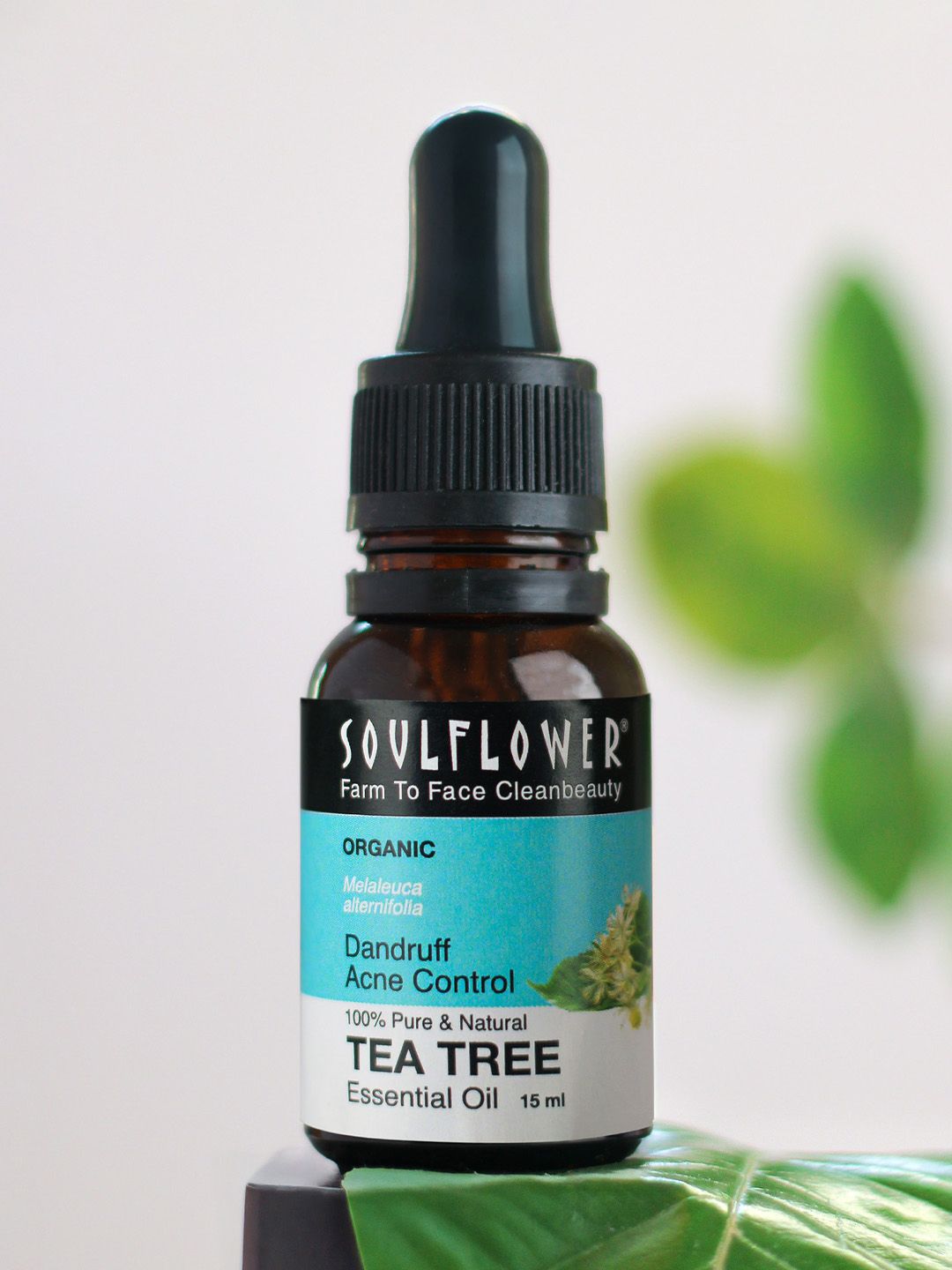 Buy Soulflower 100% Pure Tea Tree Essential Oil For Skin & Hair Dandruff & Acne Care 15ml -  - Personal Care for Unisex