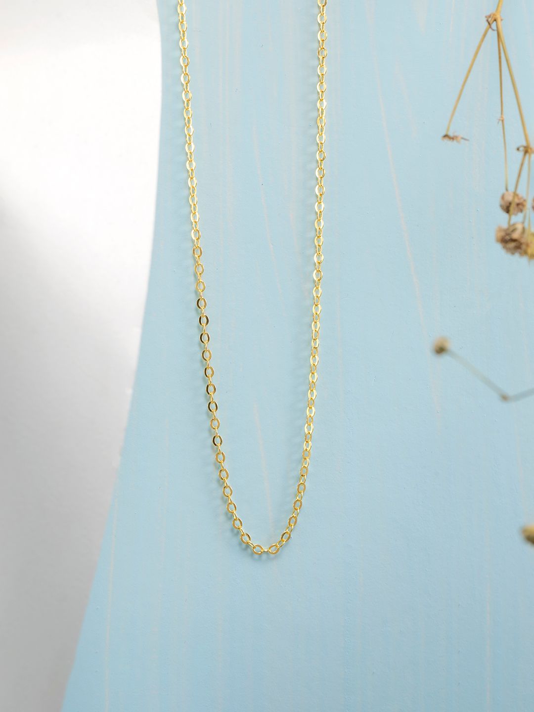 Zavya Sterling Silver Gold-Plated Chain