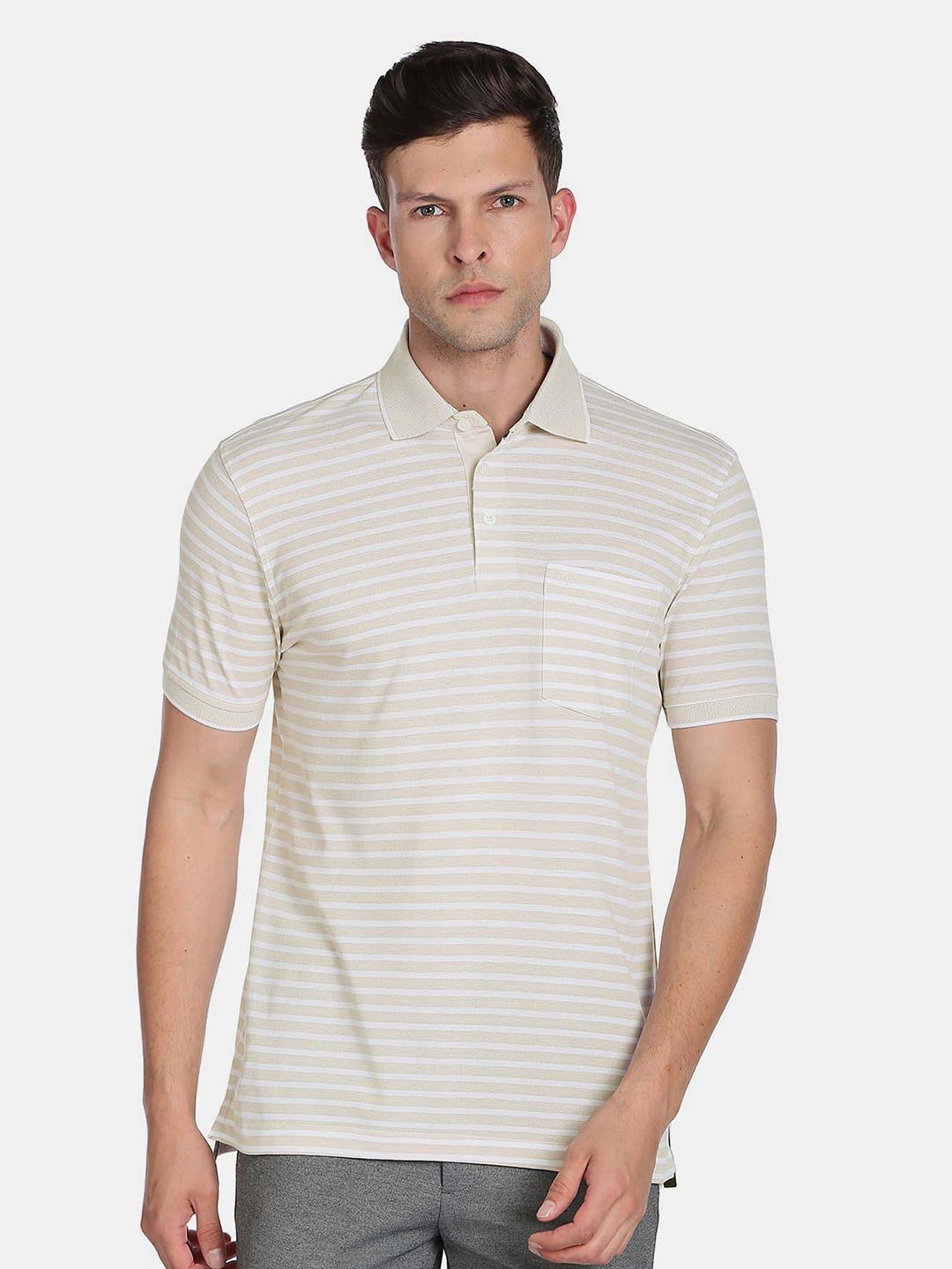Arrow Men Striped Polo Collar Cotton T-shirt