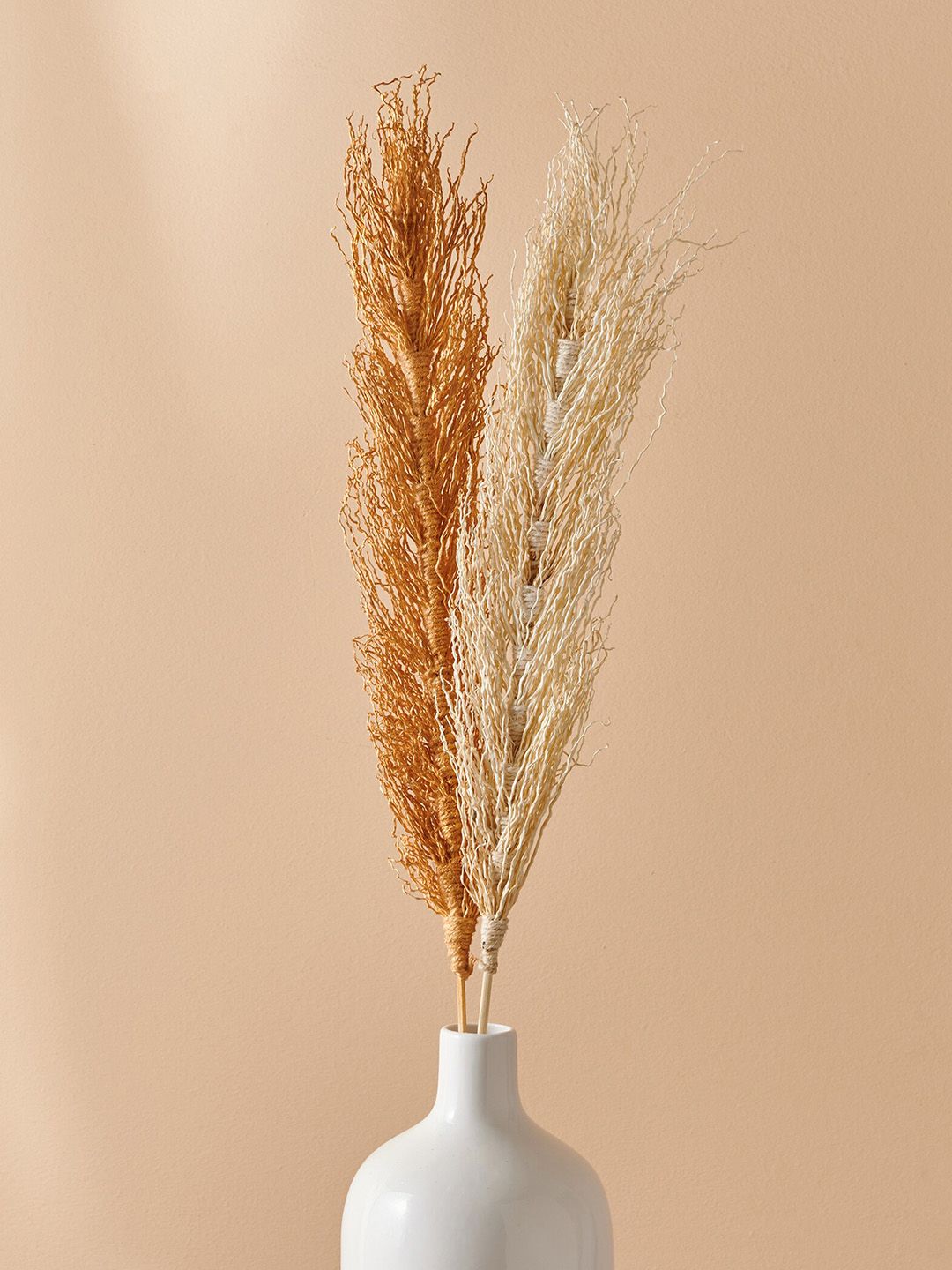 Home Centre Botanical Brown & Cream-Color Natural Dried Dates Stick