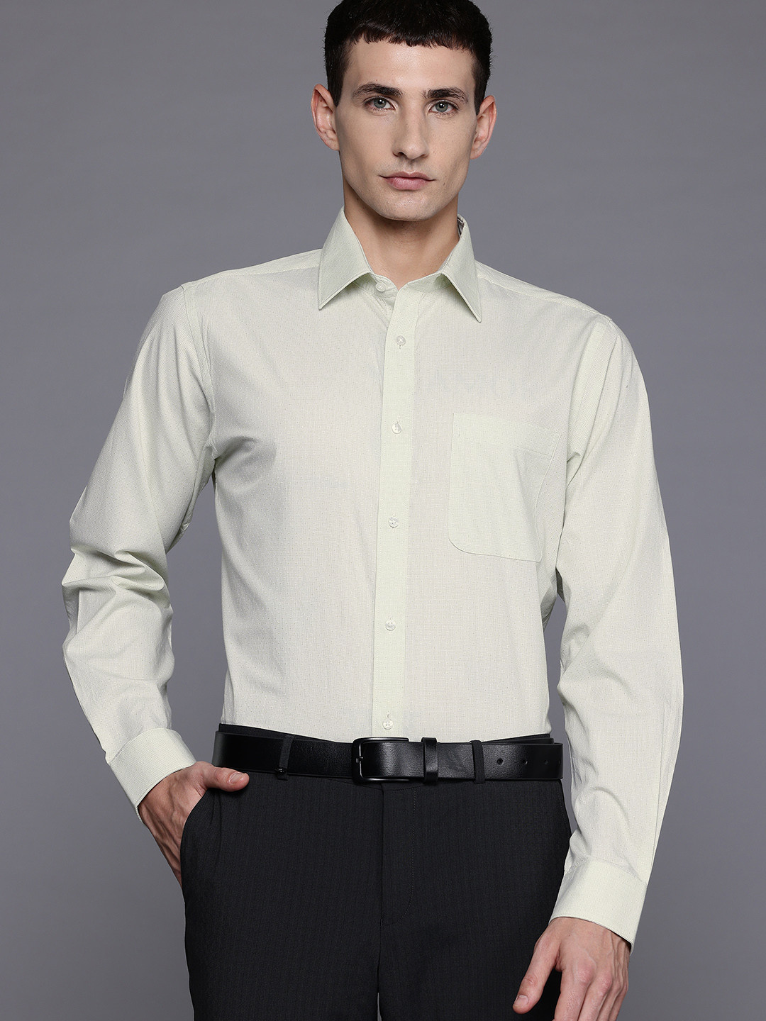 Raymond Spread Collar Pure Cotton Slim Fit Formal Shirt