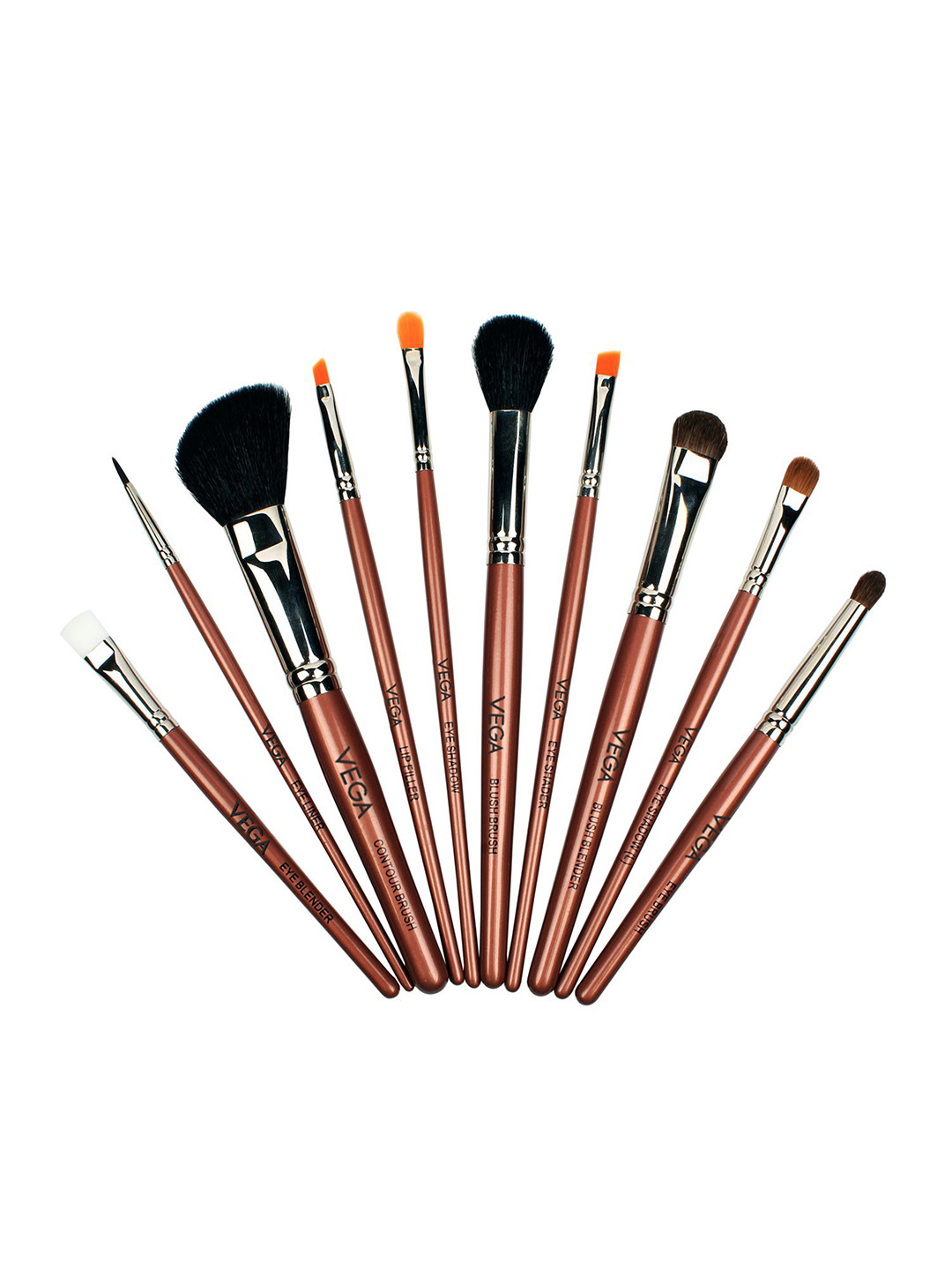 VEGA Set of 10 Make Up Brush LK-10