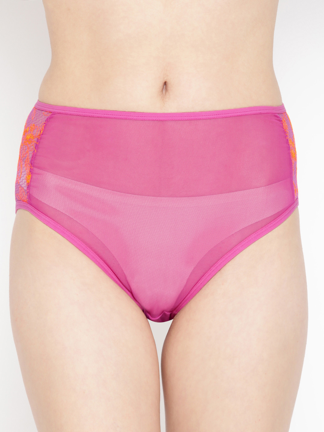 Aoba Women Purple Sheer Solid Net Hipster Briefs AIP-18A