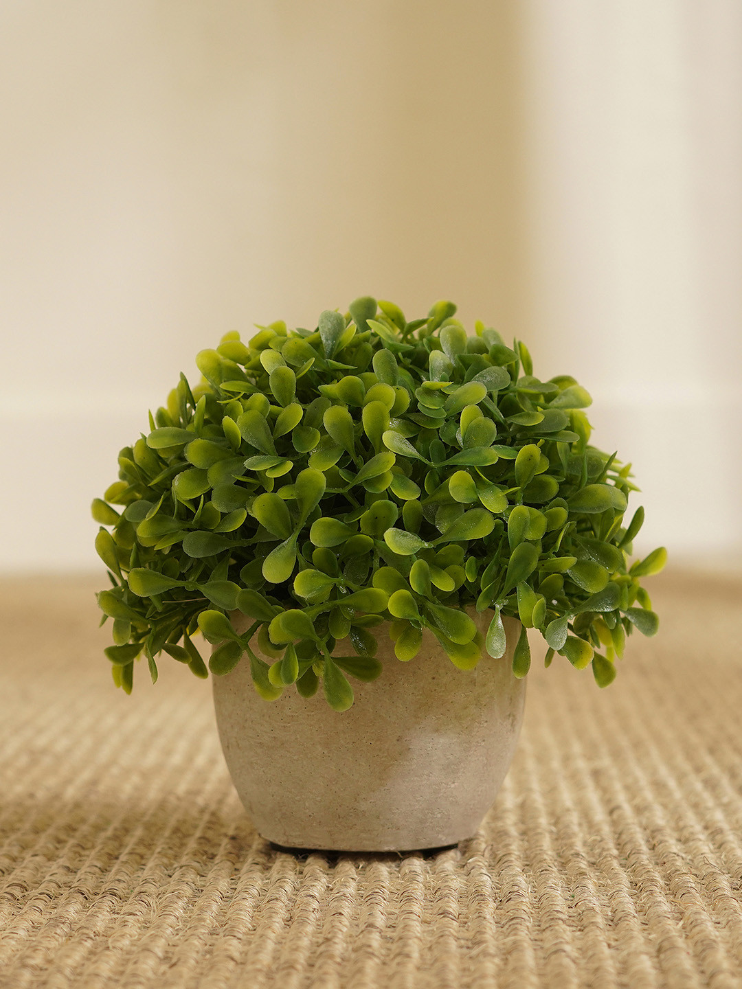 Pure Home and Living Green Artificial Plant With White Pot