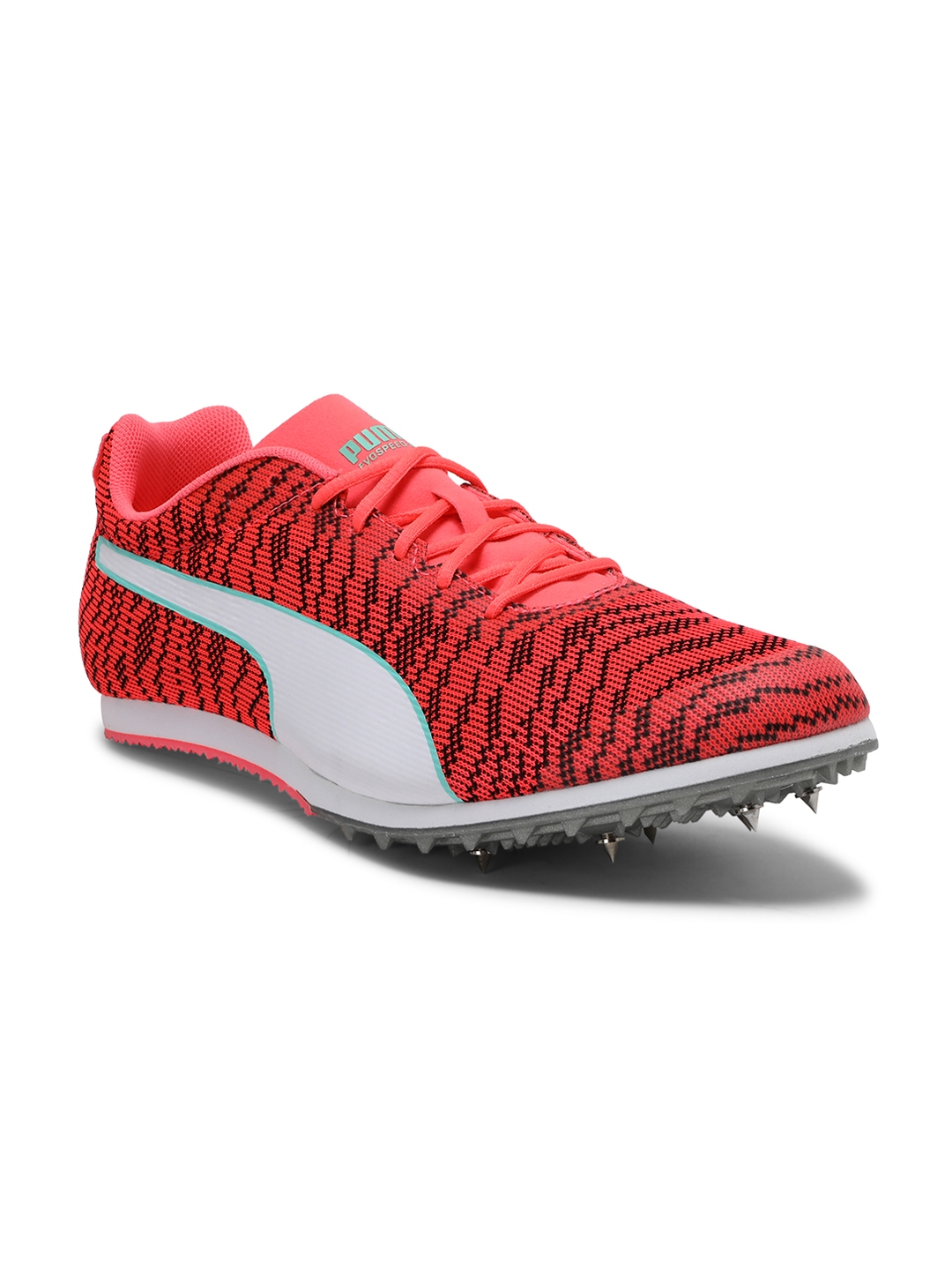 Evospeed star 6 online