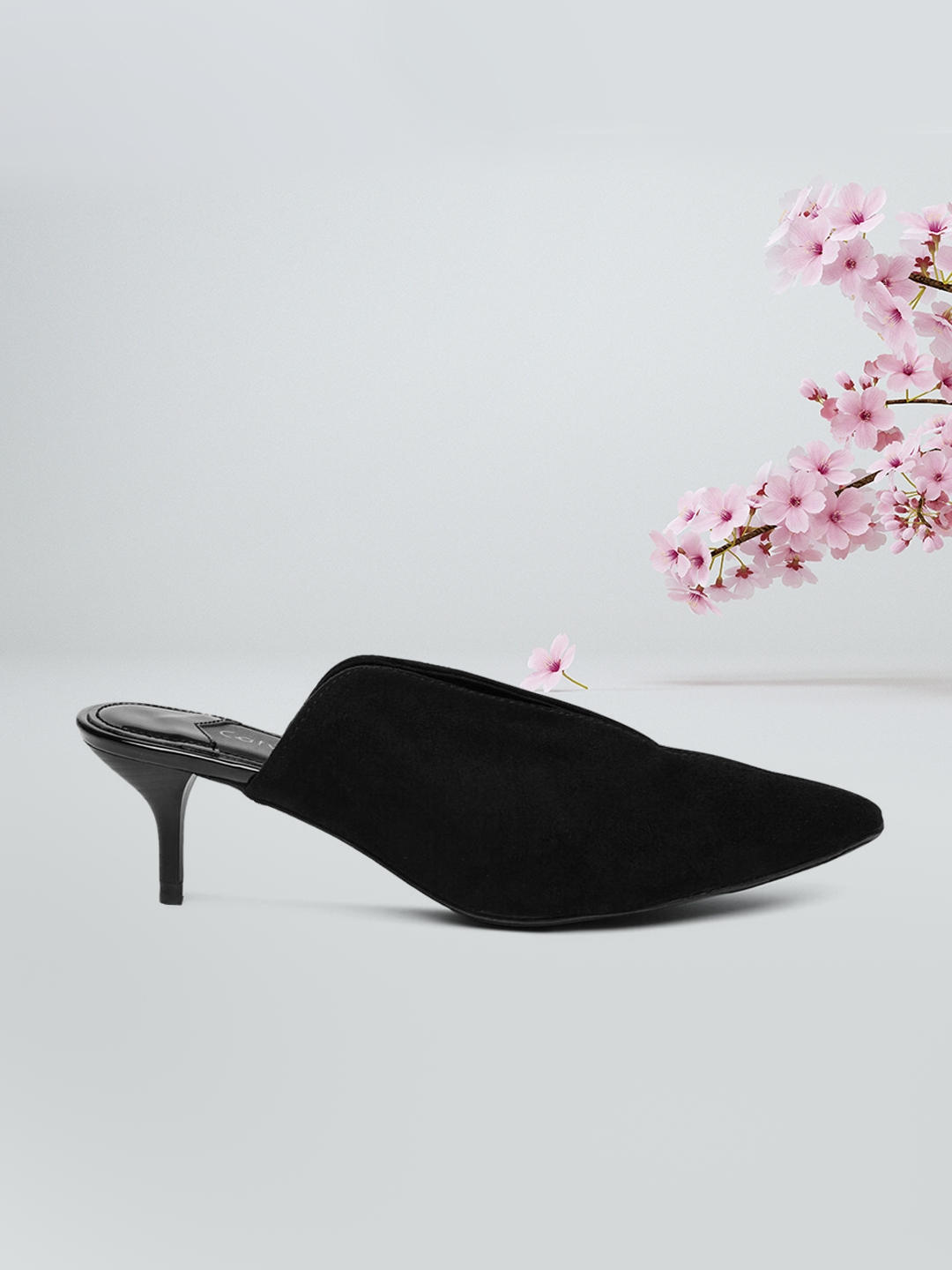 Pointed toe best sale kitten heel mules
