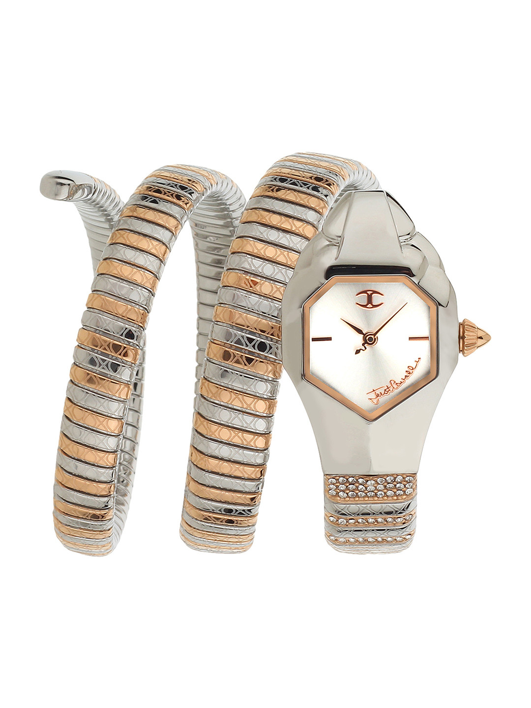 Just Cavalli Women Silver-Toned & Bronze-Toned Analogue Watch JC1L112M0055