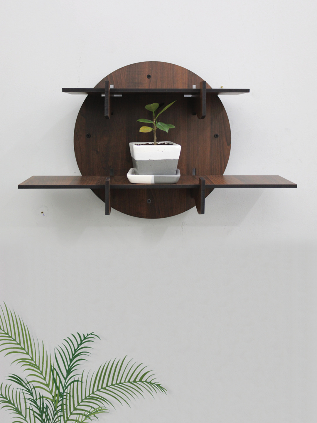 skwood MDF Wall Shelf Best Price in India skwood MDF Wall Shelf