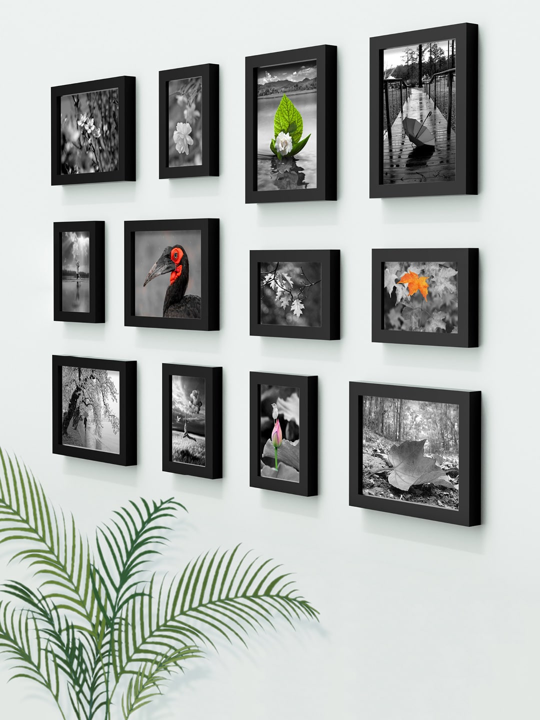 RANDOM Set Of 12 Black Solid Collage Photo Frames