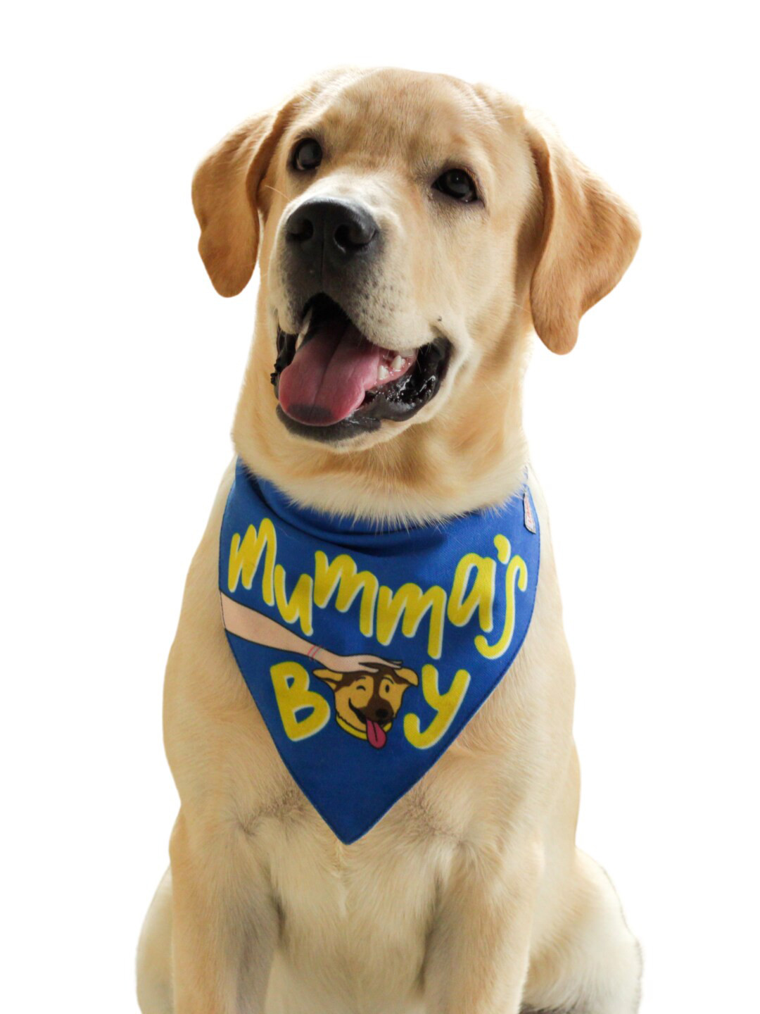 LANA PAWS Blue & Yellow Printed Dog Bandana Scarf