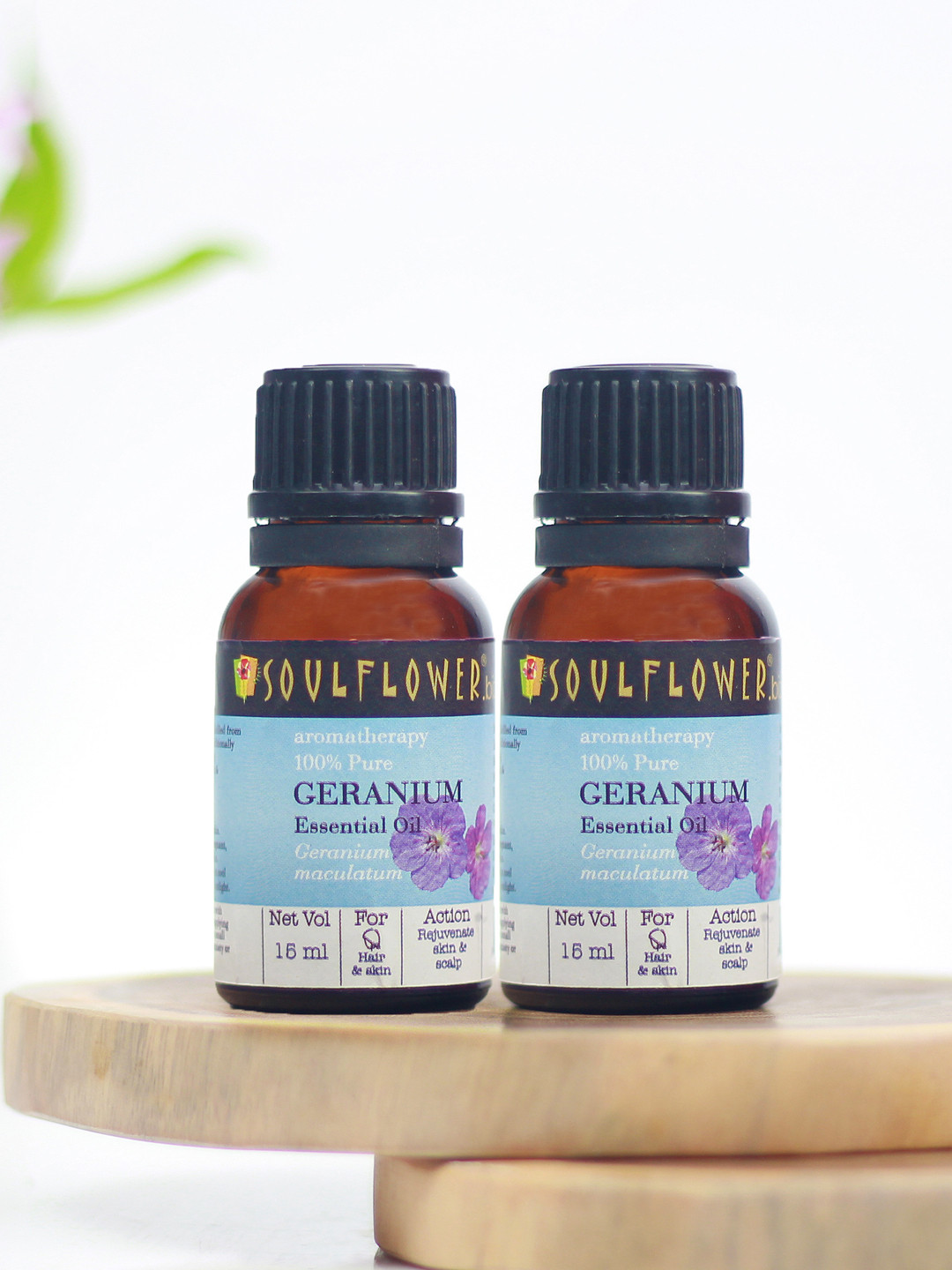 Soulflower Pack of 2 Geranium Pure Essential Oil For Skin & Scalp Rejuvenation 15ml each