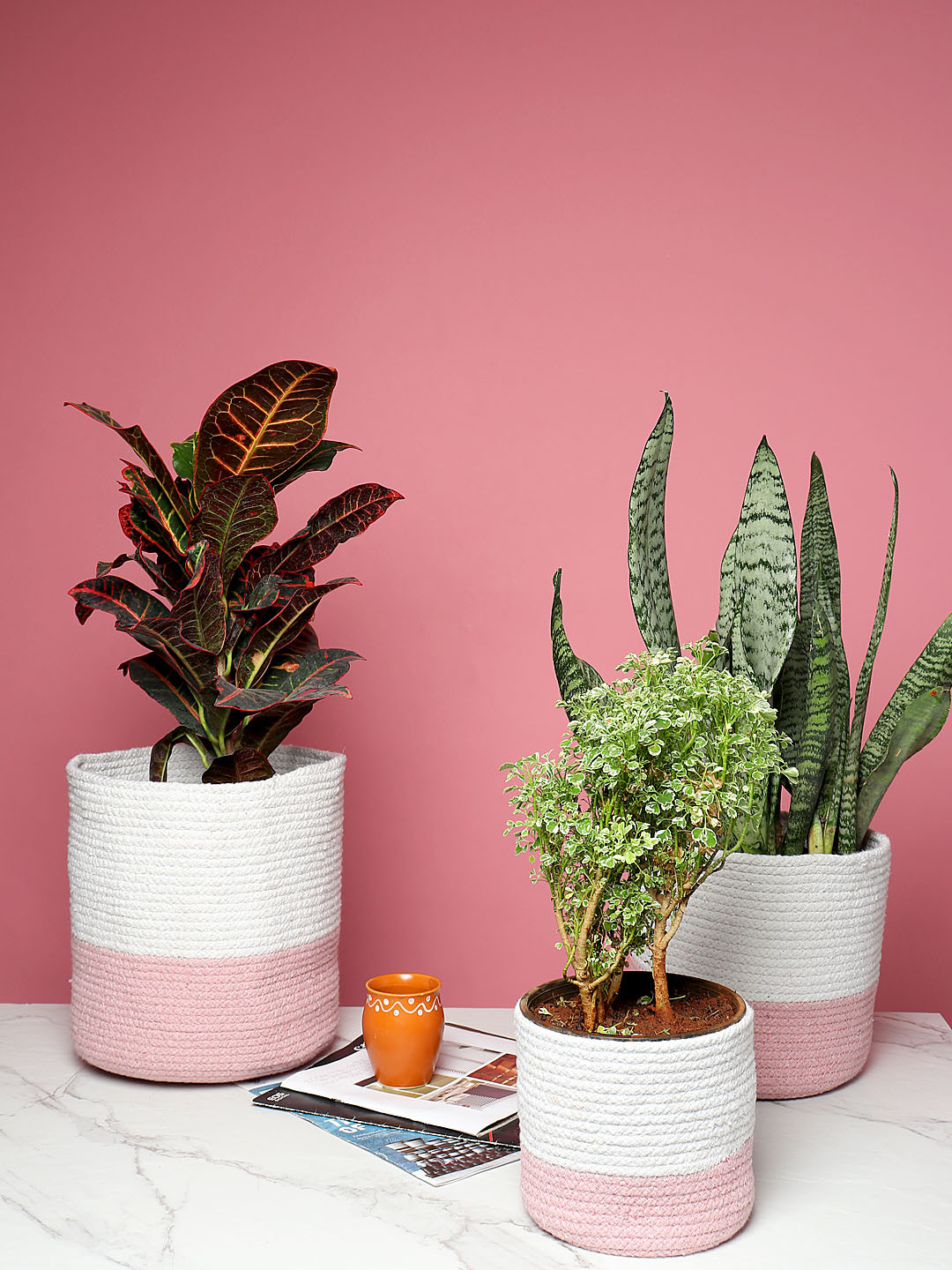 HABERE INDIA Set Of 3 Pink & White Colourblocked Planter