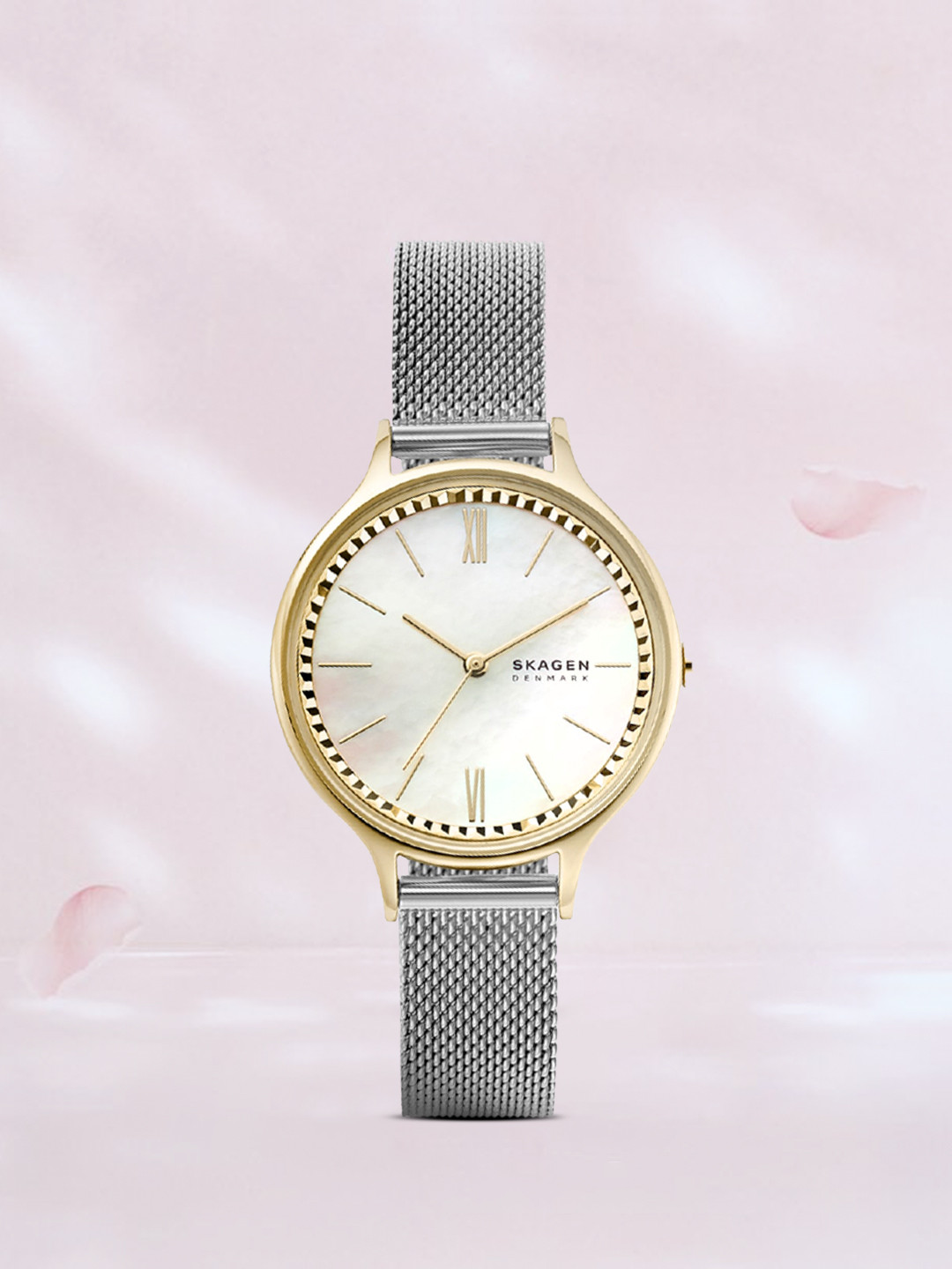 Buy SKAGEN Women Silver Toned Analogue Watch SKW2866 Watches for