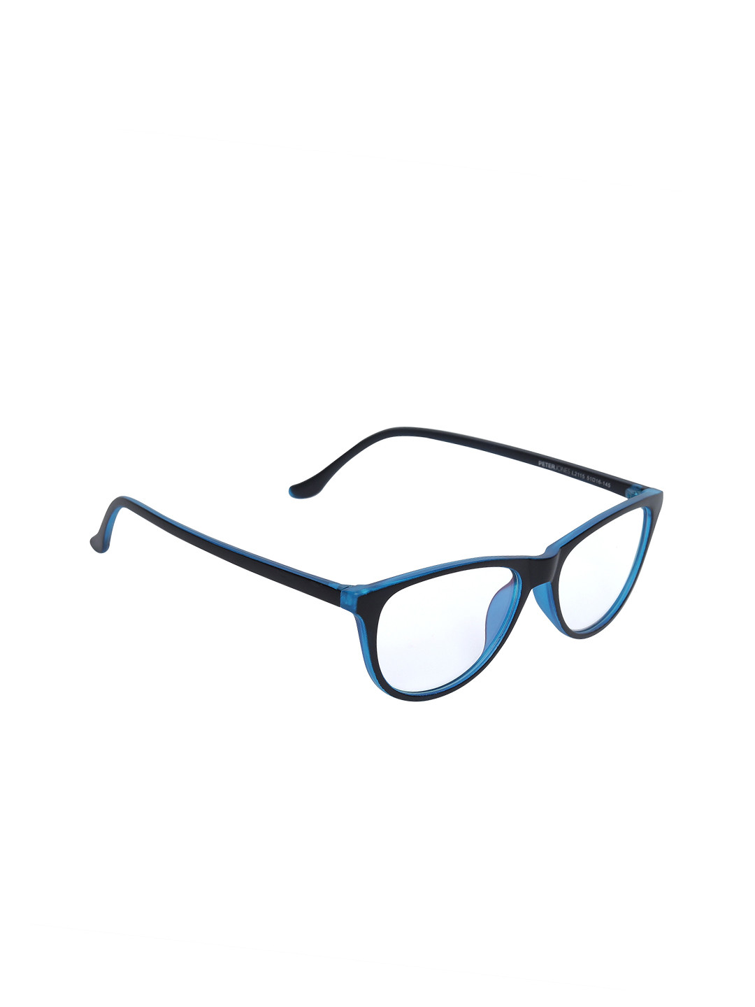 Peter Jones Eyewear Unisex Black & Blue Solid Full Rim Cateye Frames