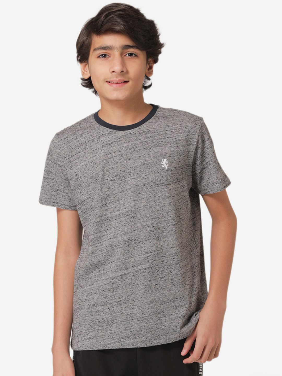 Red Tape Boys Grey Melange Solid Round Neck T-shirt