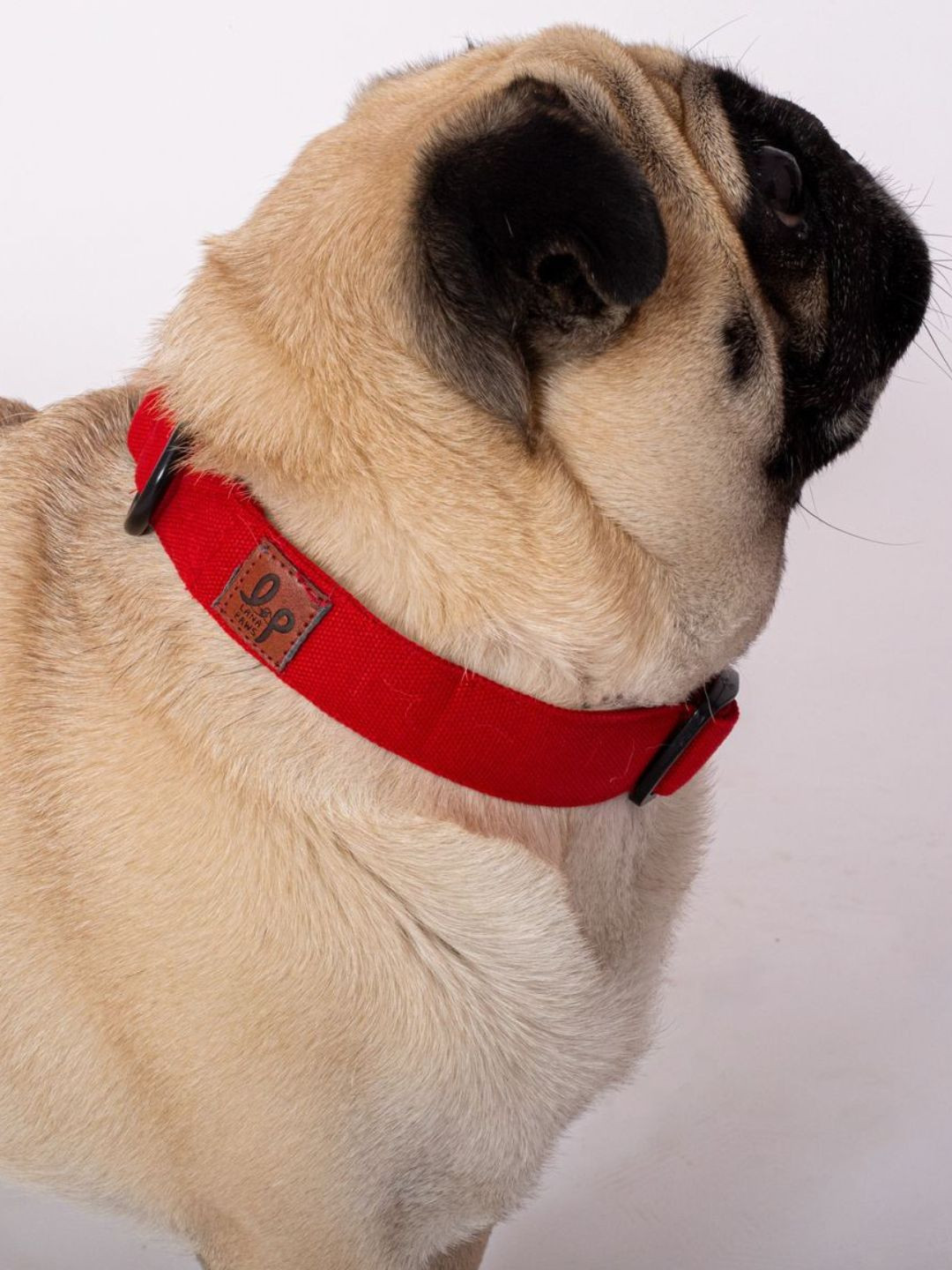 LANA PAWS Red Solid Dog Collar