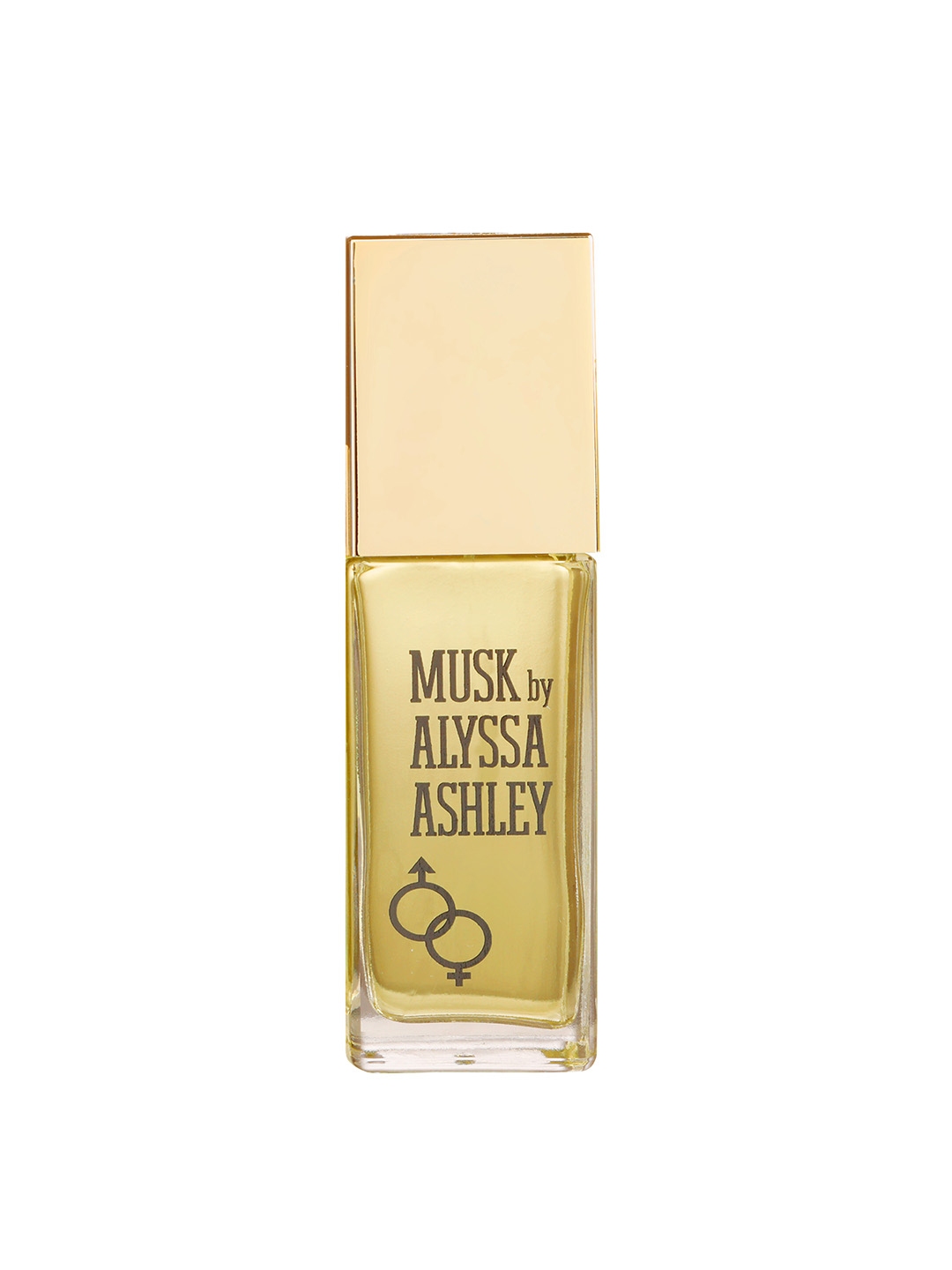 Alyssa ashley best sale musk for men