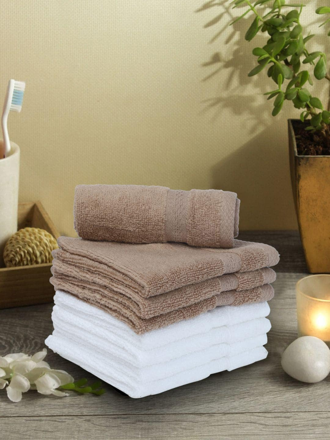 BIANCA Brown & White Set of 8 Solid 500 GSM Cotton Face Towels