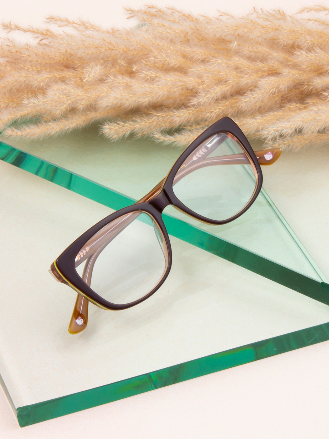 Ted Smith Women Brown Full Rim Square Frames Eyeglasses