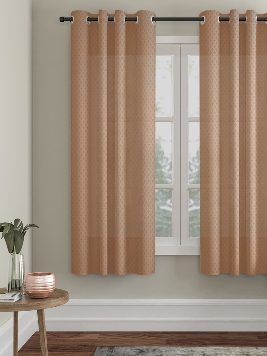HOSTA HOMES Brown Window Curtain