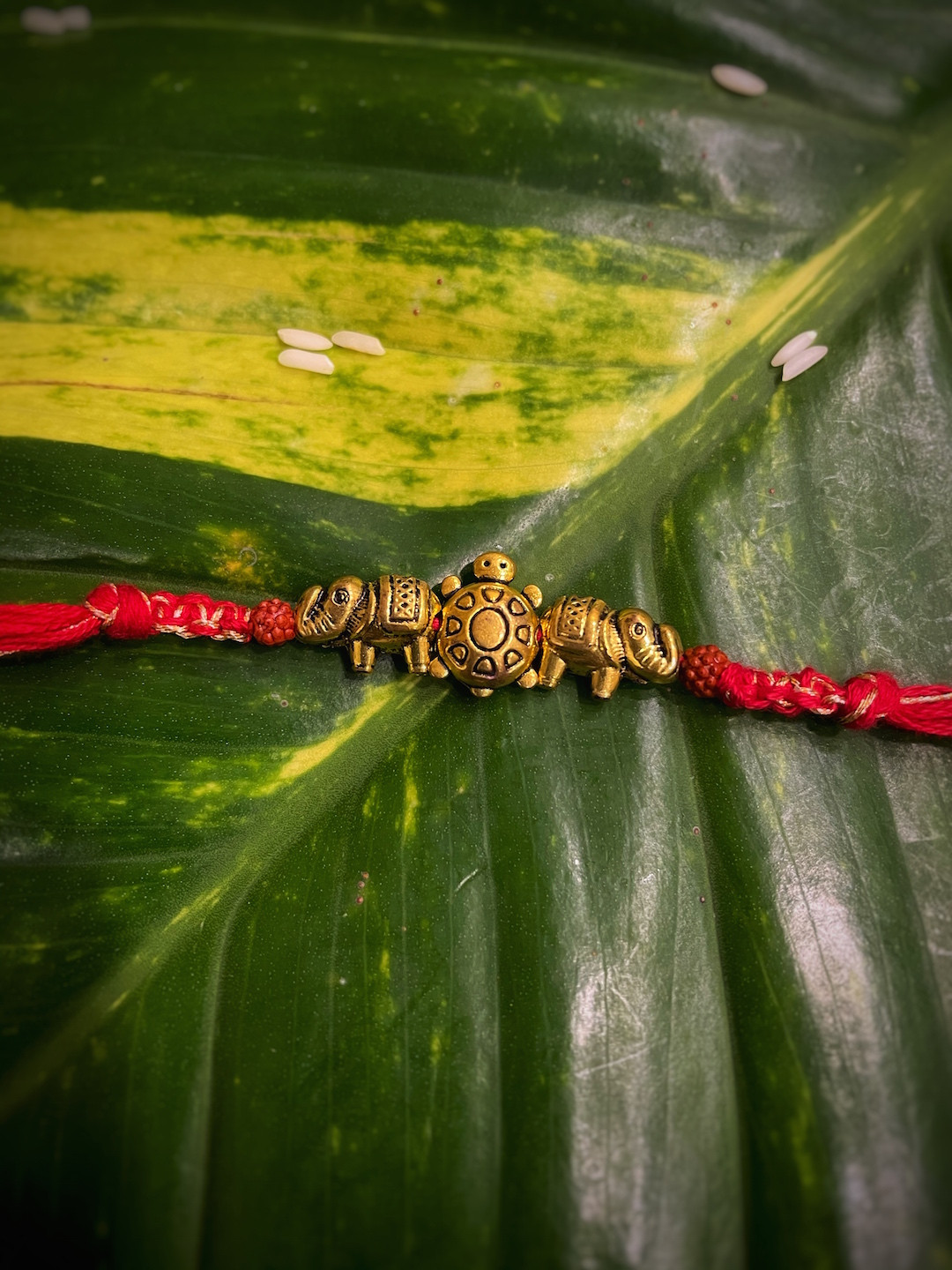 Digital Dress Room Red Mauli Raksha Rakhi