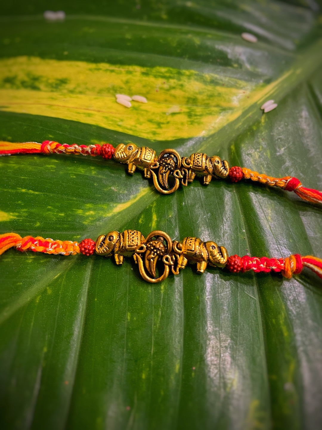 Digital Dress Room Mens Red & Gold Pack of 2 Elephant/Ganesh Fancy Rakhi Designs