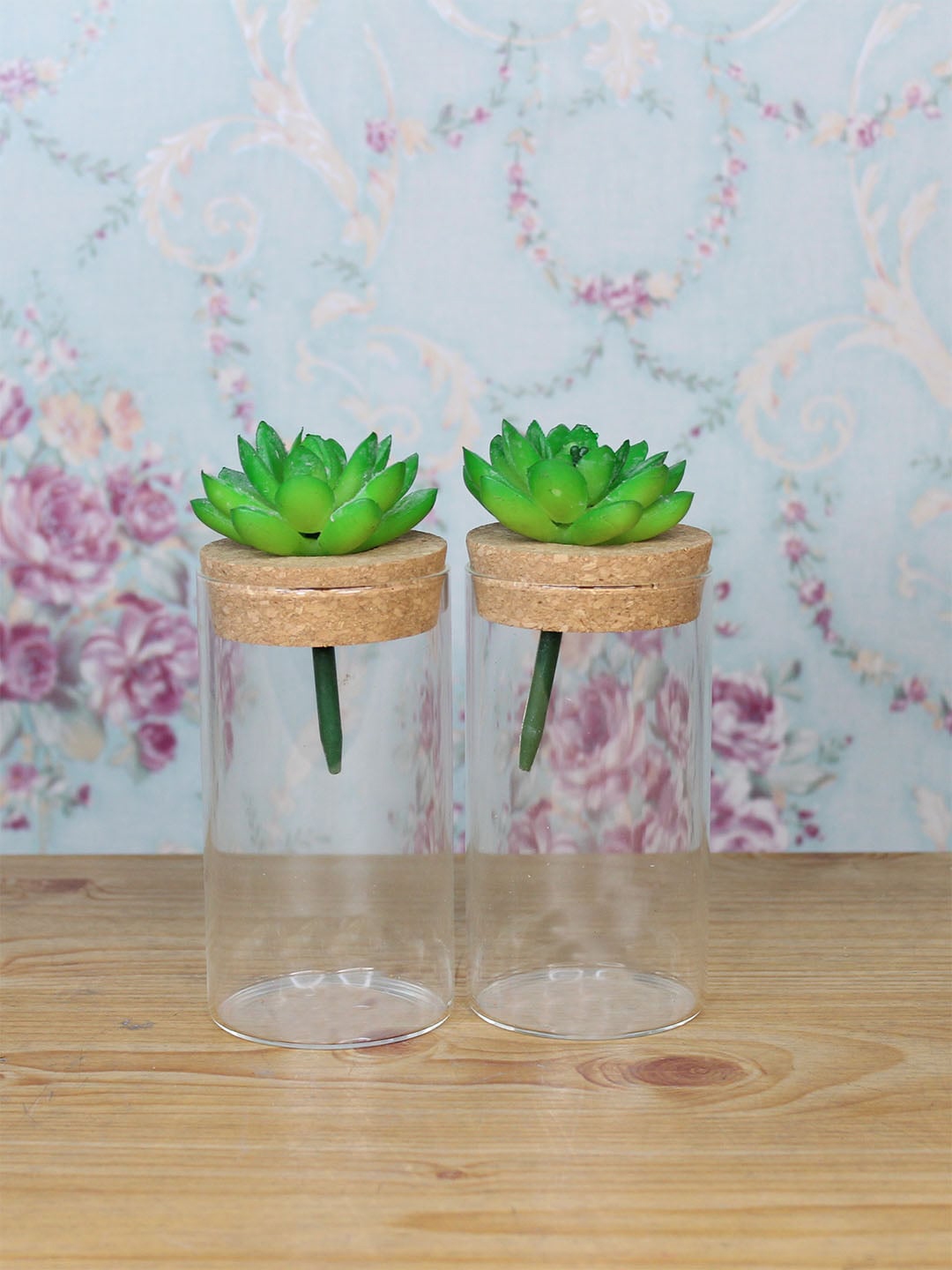 Wonderland Set Of 2 Brown & Transparent Solid Glass With Cork Hydroponic Planters