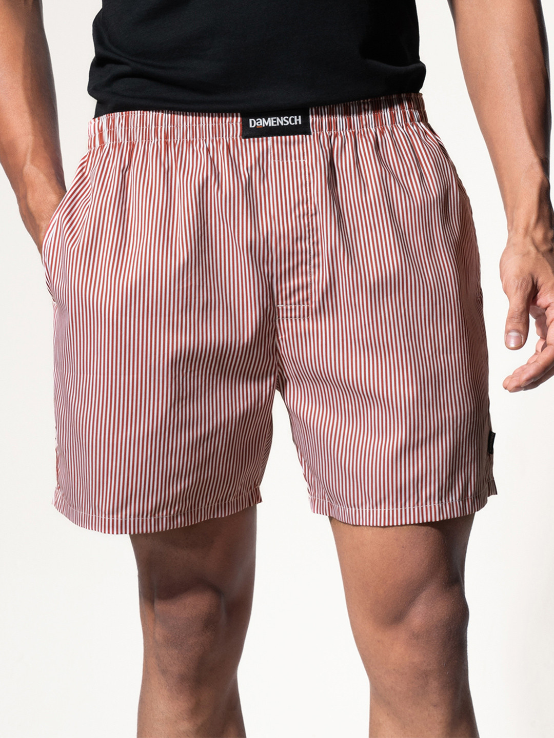 DaMENSCH Men Striped Ultra-Light Cotton Regular Fit Boxer Shorts