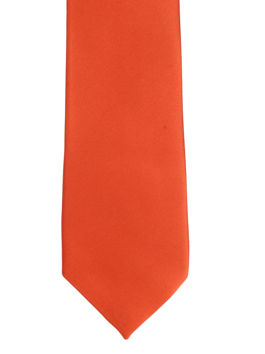 Alvaro Castagnino Men Orange Broad Neck Tie