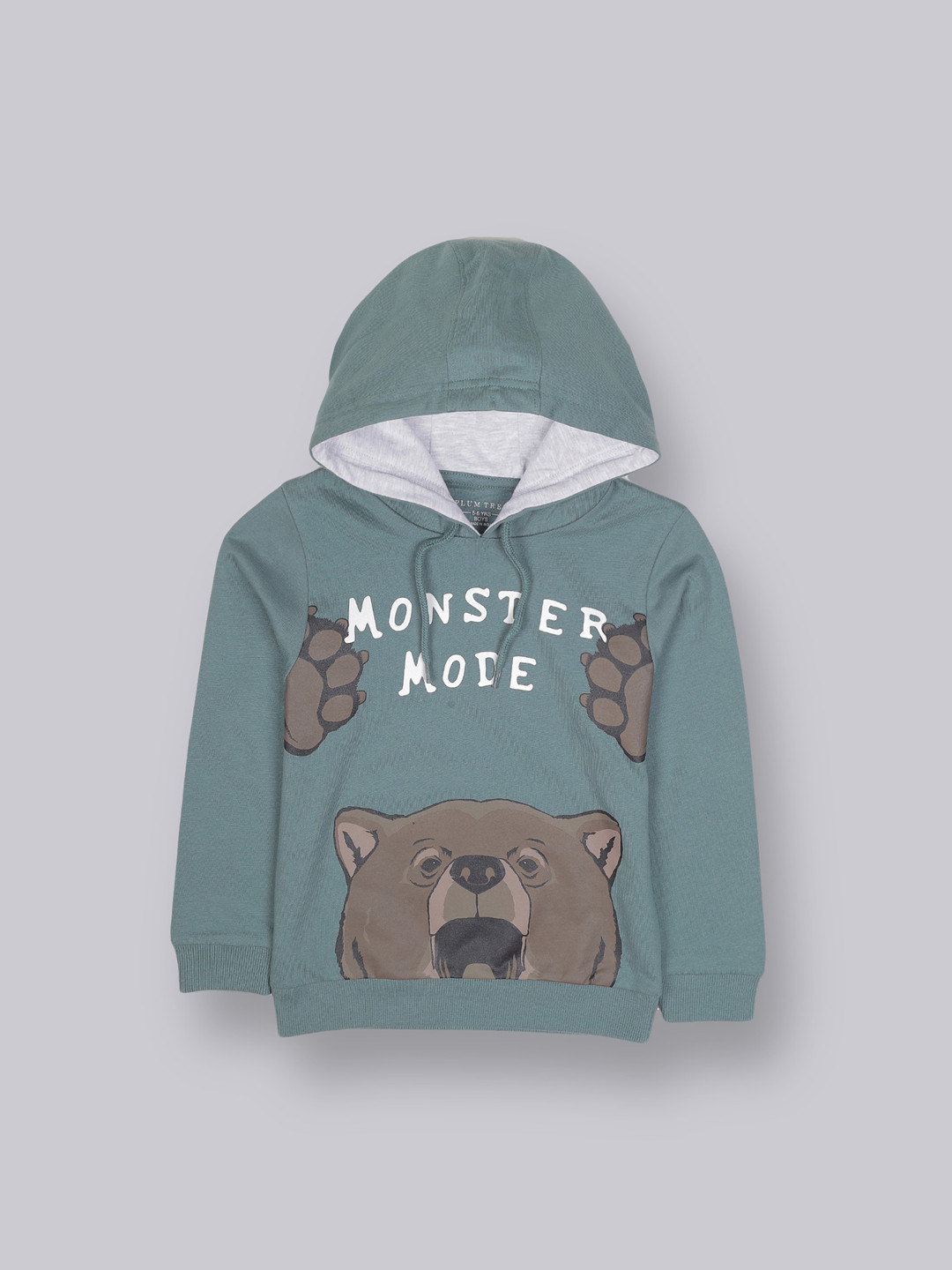 PLUM TREE Boys Green Printed Sweatshirt