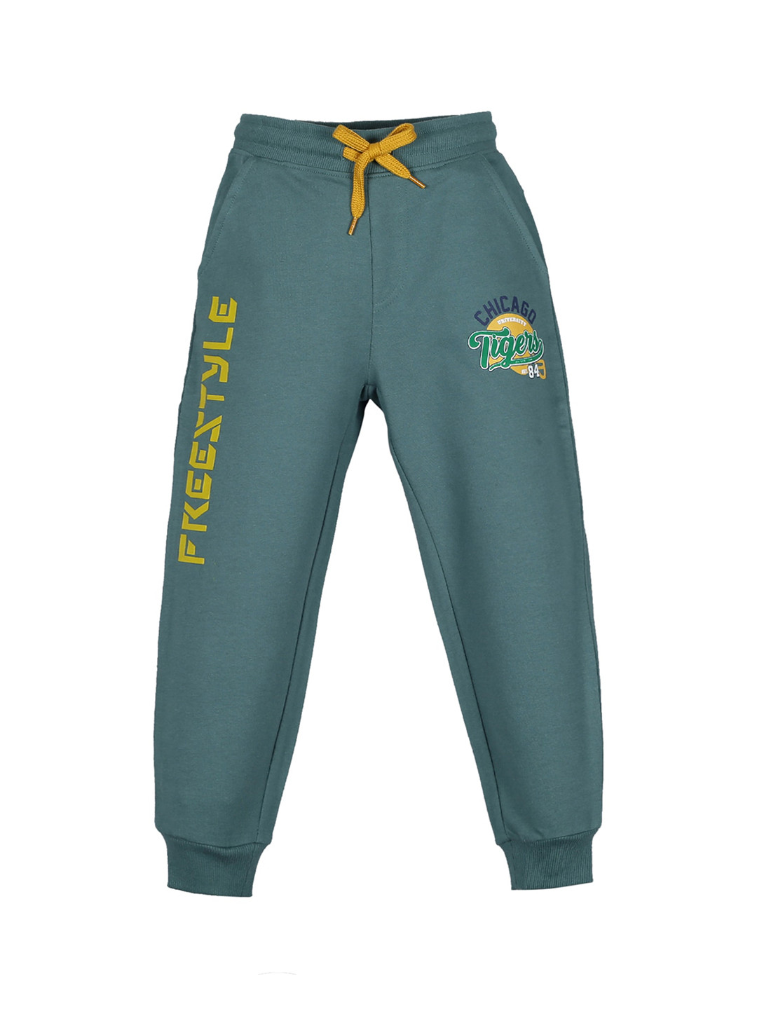 PLUM TREE Boys Green Solid Pure Cotton Joggers