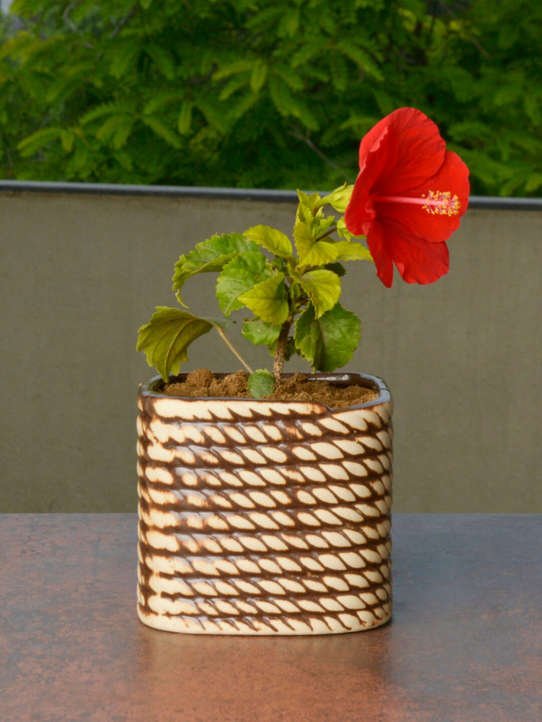StyleMyWay Beige Hand Painted Ceramic Planter Pot