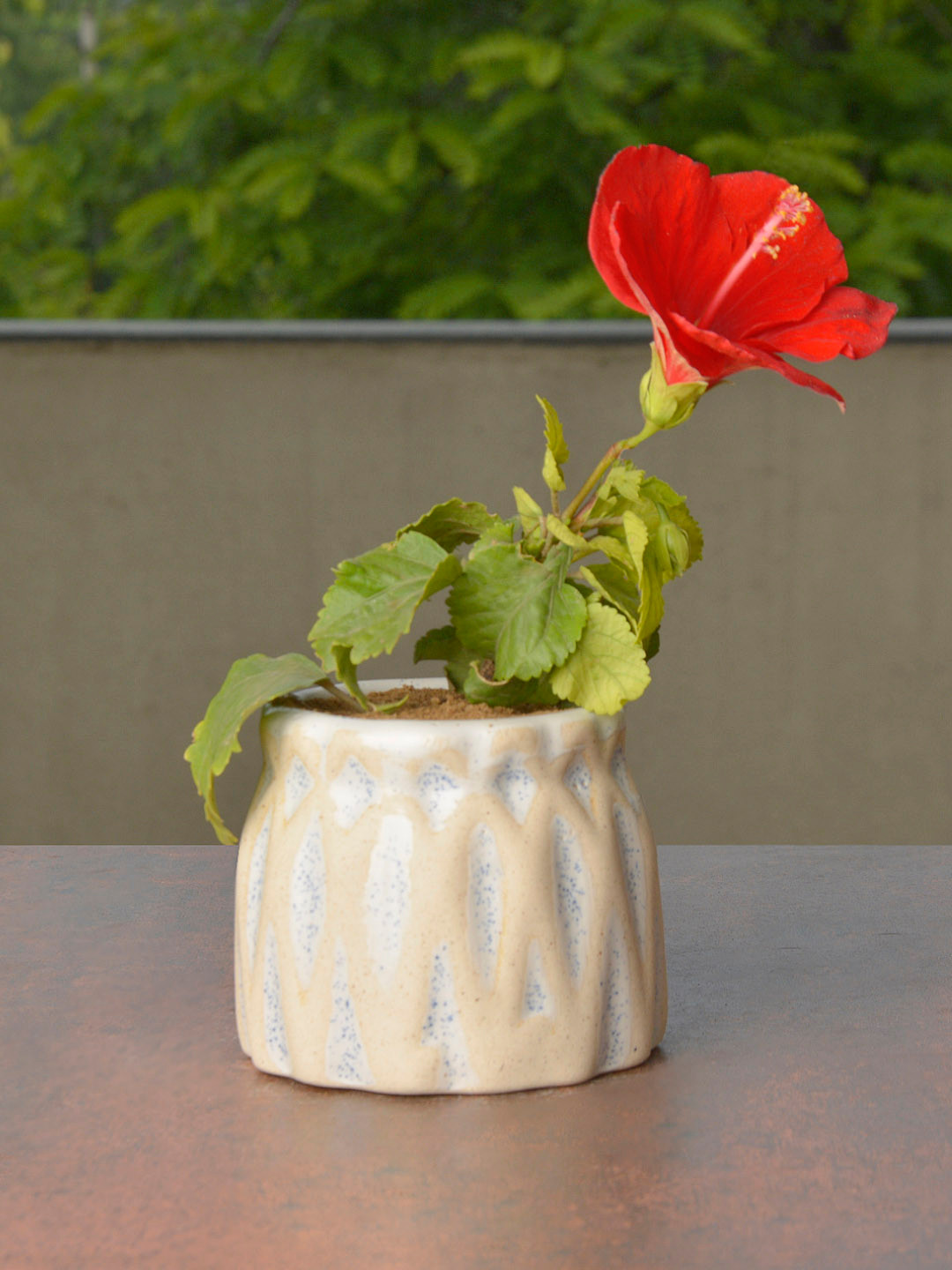 StyleMyWay Beige & Red Ceramic Planter Pot