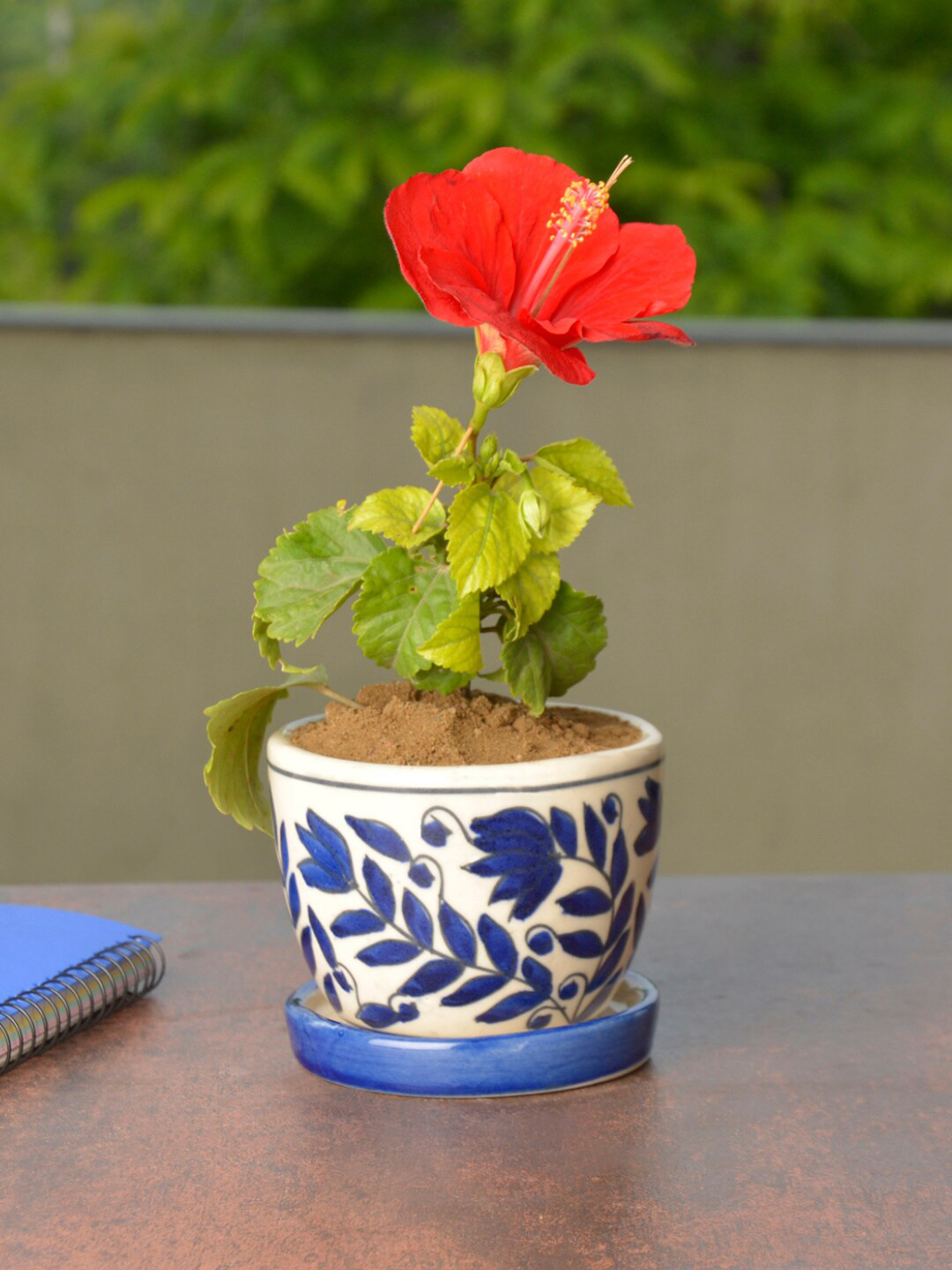 StyleMyWay White & Blue Floral Planter Pot With Tray