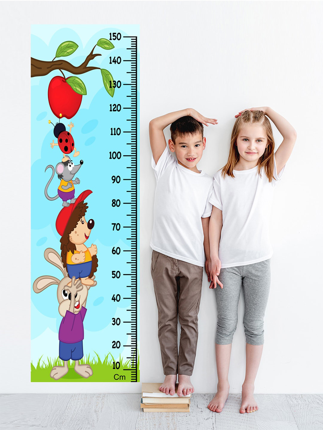 WENS Kids Multicoloured Apple Lovers Height Chart Vinyl Wall Sticker