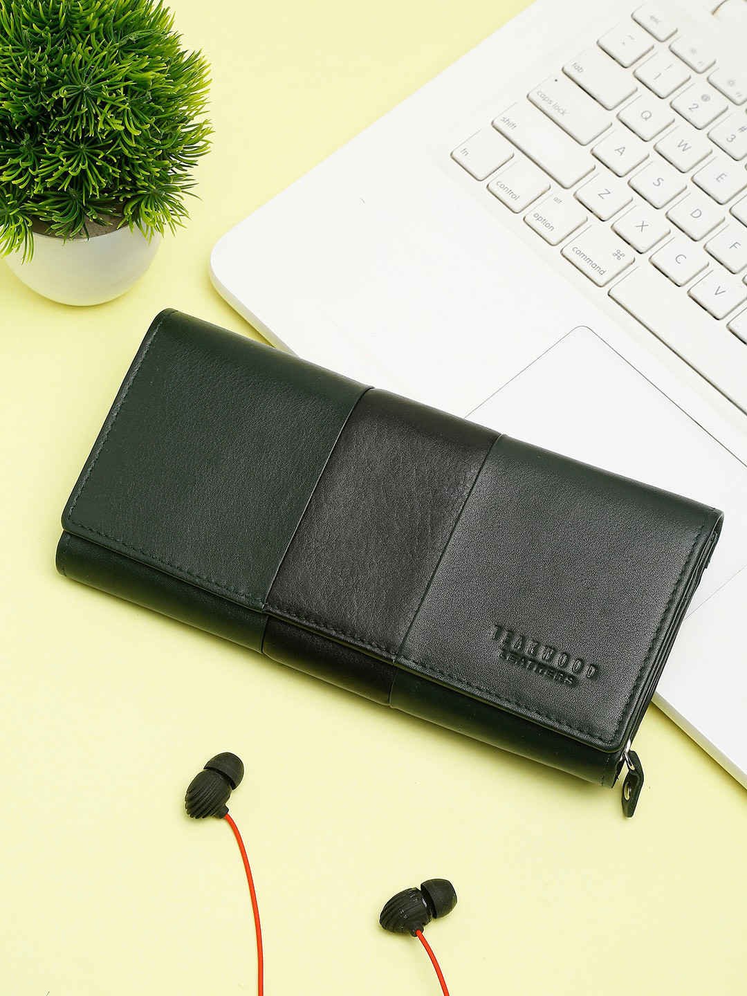 Teakwood Leathers Women Green & Black Colourblocked Leather Purse