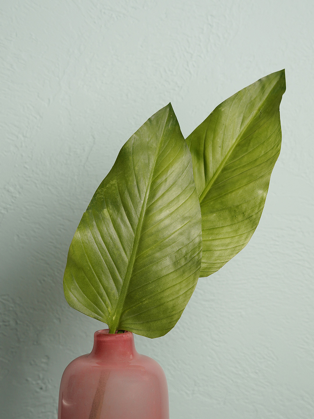 Pure Home and Living Green Artificial Calla Leaf Spray