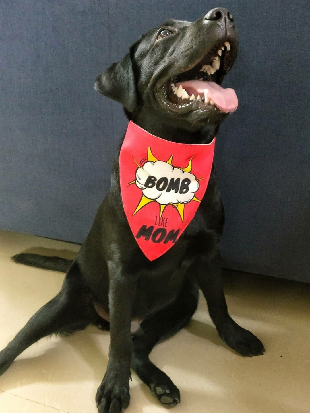 LANA PAWS Red& Black Graphic Printed Dog Bandana