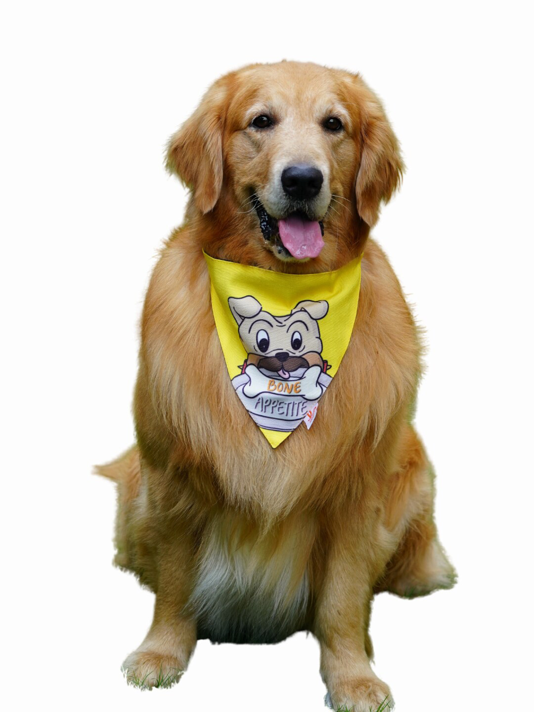 LANA PAWS Unisex Yellow & Brown Digitally Printed Dog Bandana